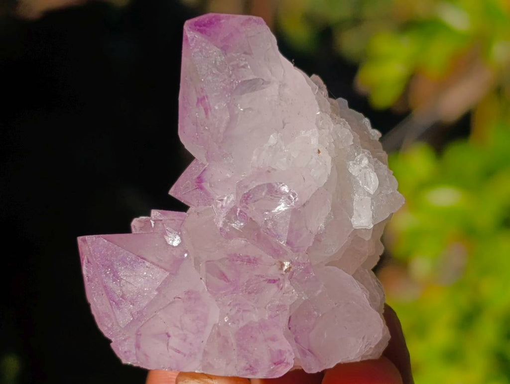 Natural Amethyst Spirit Quartz Clusters x 12 From Boekenhouthoek, South Africa - Toprock Gemstones and Minerals 