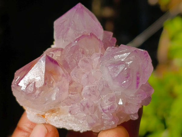 Natural Amethyst Spirit Quartz Clusters x 12 From Boekenhouthoek, South Africa