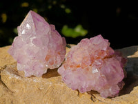 Natural Amethyst Spirit Quartz Clusters x 12 From Boekenhouthoek, South Africa