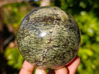 Polished Leopard Stone Spheres x 3 From Nyanga, Zimbabwe - Toprock Gemstones and Minerals 