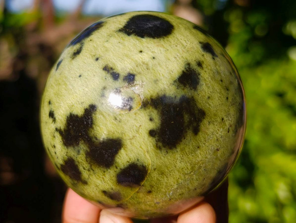 Polished Leopard Stone Spheres x 3 From Nyanga, Zimbabwe - Toprock Gemstones and Minerals 