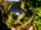 Polished Leopard Stone Spheres x 3 From Nyanga, Zimbabwe - Toprock Gemstones and Minerals 