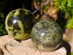Polished Leopard Stone Spheres x 3 From Nyanga, Zimbabwe - Toprock Gemstones and Minerals 