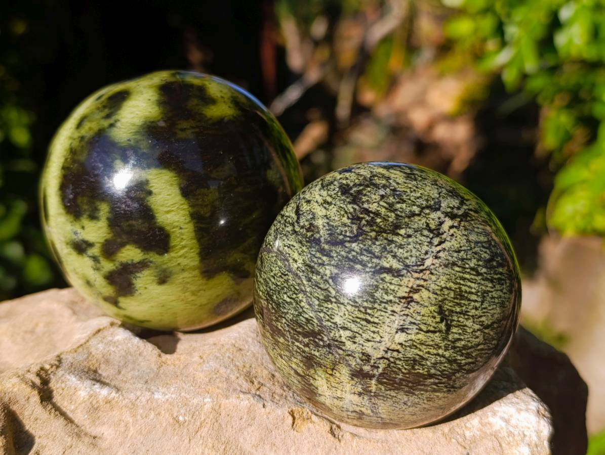 Polished Leopard Stone Spheres x 3 From Nyanga, Zimbabwe - Toprock Gemstones and Minerals 