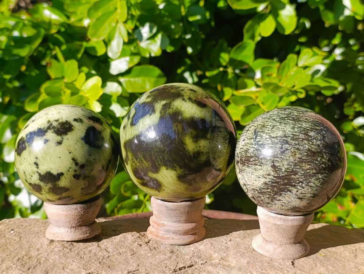 Polished Leopard Stone Spheres x 3 From Nyanga, Zimbabwe - Toprock Gemstones and Minerals 