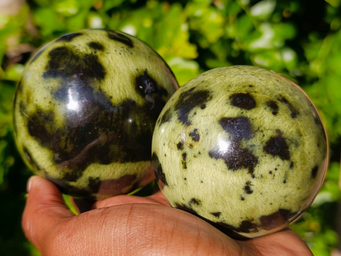 Polished Leopard Stone Spheres x 3 From Nyanga, Zimbabwe - Toprock Gemstones and Minerals 