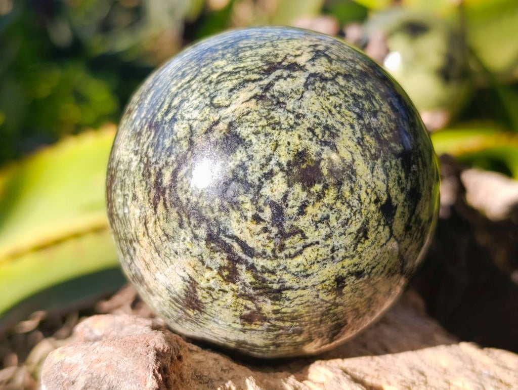 Polished Leopard Stone Spheres x 3 From Nyanga, Zimbabwe - Toprock Gemstones and Minerals 