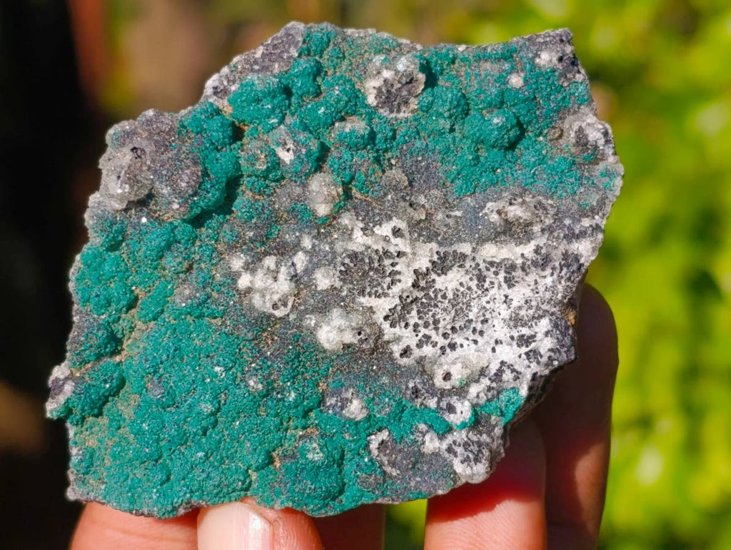 Natural Drusy Coated Chrysocolla with Malachite x 12 From Lupoto Mine, Congo - Toprock Gemstones and Minerals 