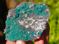 Natural Drusy Coated Chrysocolla with Malachite x 12 From Lupoto Mine, Congo - Toprock Gemstones and Minerals 