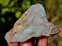 Natural Drusy Coated Chrysocolla with Malachite x 12 From Lupoto Mine, Congo