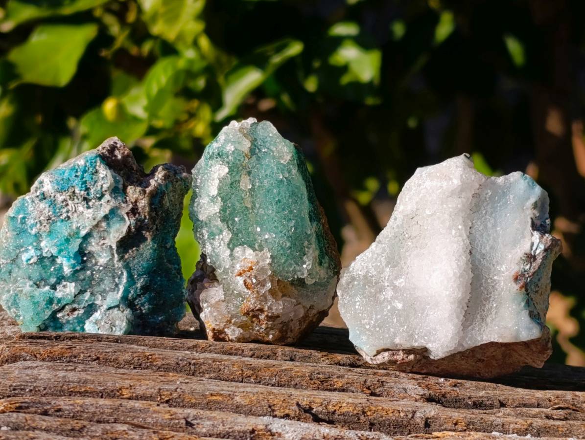 Natural Drusy Coated Chrysocolla with Malachite x 12 From Lupoto Mine, Congo - Toprock Gemstones and Minerals 