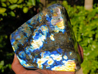 Polished Labradorite Standing Free Form x 1 From Tulear, Madagascar