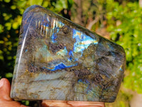 Polished Labradorite Standing Free Form x 1 From Tulear, Madagascar