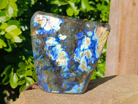 Polished Labradorite Standing Free Form x 1 From Tulear, Madagascar
