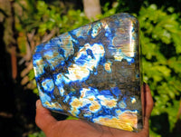 Polished Labradorite Standing Free Form x 1 From Tulear, Madagascar