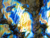 Polished Labradorite Standing Free Form x 1 From Tulear, Madagascar
