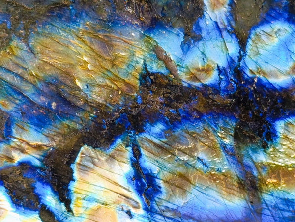 Polished Labradorite Standing Free Form x 1 From Tulear, Madagascar