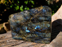 Polished Labradorite Standing Free Form x 1 From Tulear, Madagascar