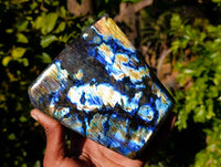 Polished Labradorite Standing Free Form x 1 From Tulear, Madagascar