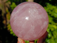 Polished Star Rose Quartz Sphere x 1 Madagascar