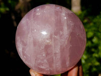Polished Star Rose Quartz Sphere x 1 Madagascar