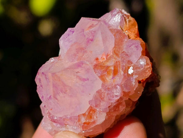 Natural Amethyst Spirit Quartz Specimens x 35 From Boekenhouthoek, South Africa