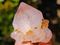 Natural Amethyst Spirit Quartz Specimens x 35 From Boekenhouthoek, South Africa