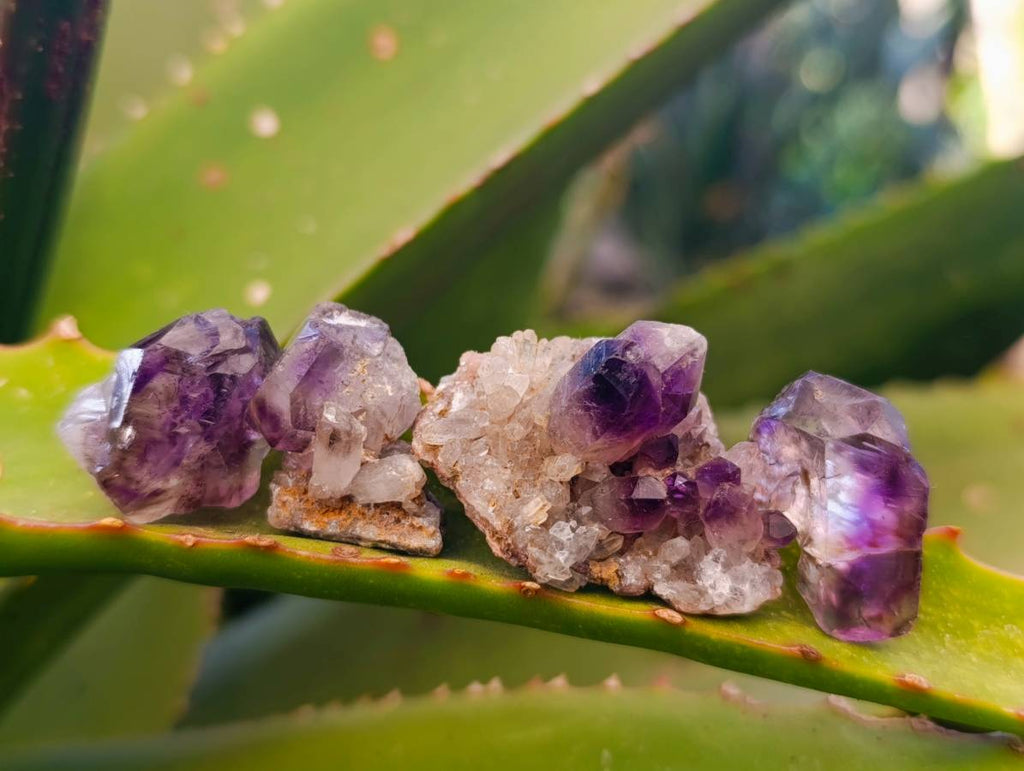 Natural Mix of Retail Items x 2.5 Kg Lot From Southern Africa - Toprock Gemstones and Minerals 