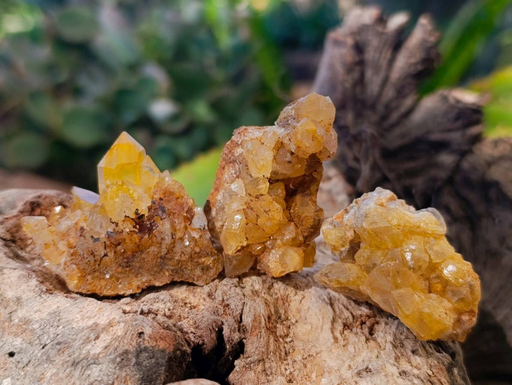 Natural Mix of Retail Items x 2.5 Kg Lot From Southern Africa - Toprock Gemstones and Minerals 