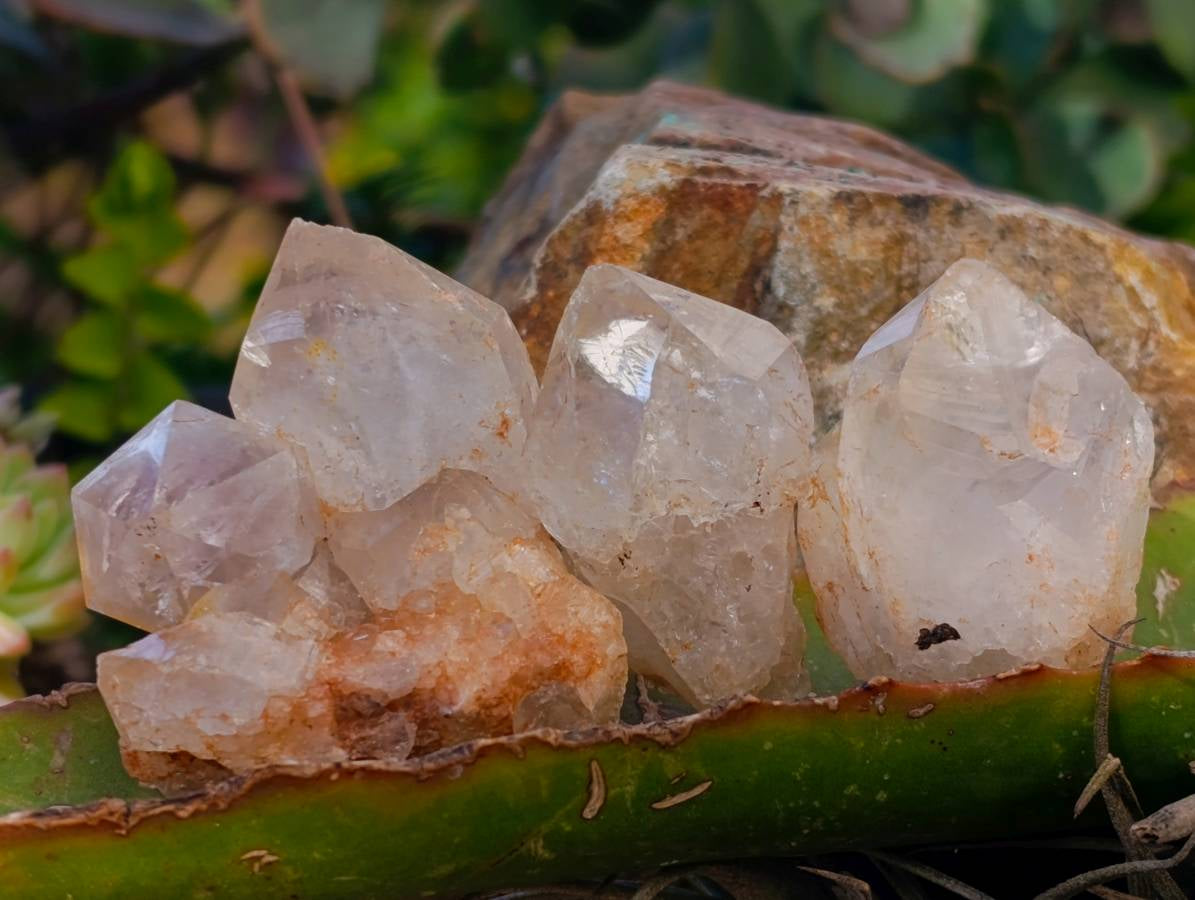 Natural Mix of Retail Items x 2.5 Kg Lot From Southern Africa - Toprock Gemstones and Minerals 