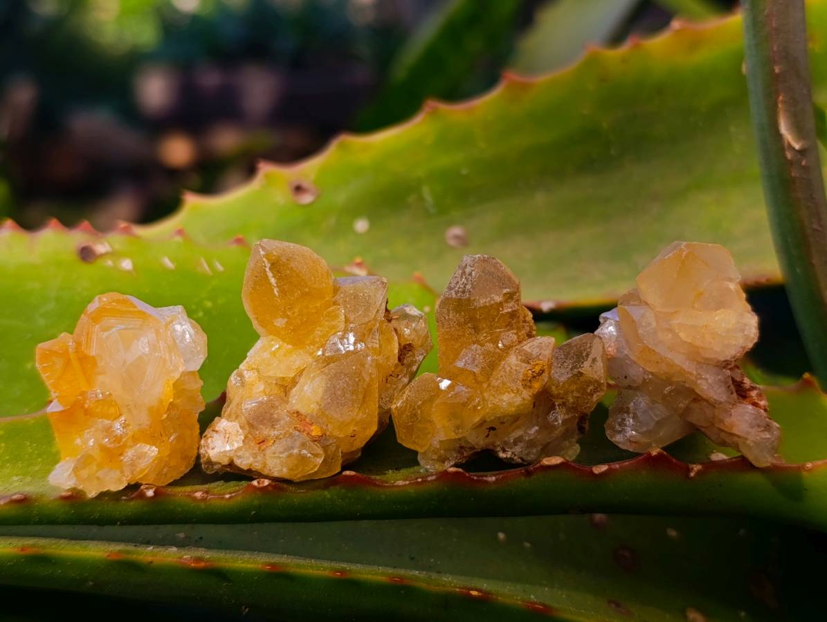 Natural Mix of Retail Items x 2.5 Kg Lot From Southern Africa - Toprock Gemstones and Minerals 