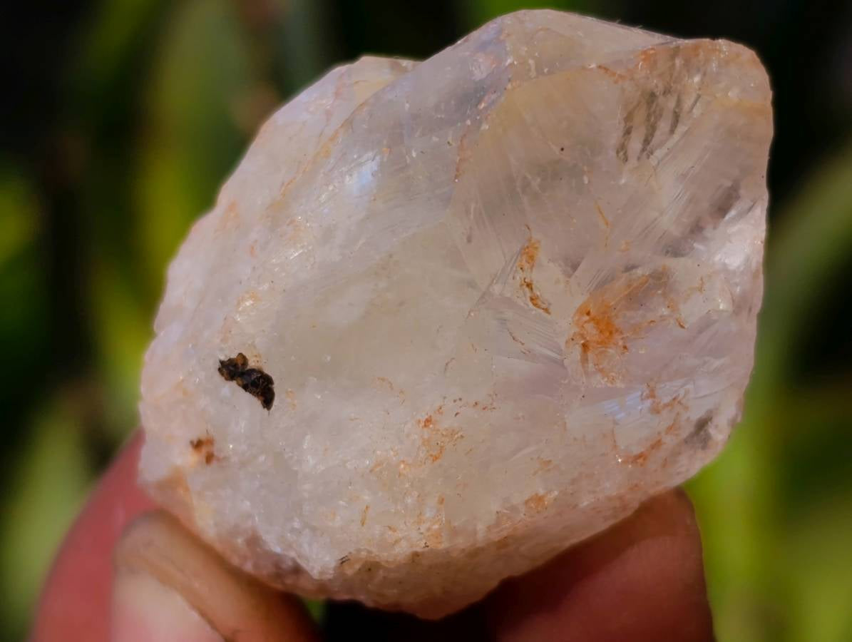 Natural Mix of Retail Items x 2.5 Kg Lot From Southern Africa - Toprock Gemstones and Minerals 