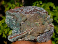 Natural Ball Malachite On Dolomite Matrix Specimen x 1 From Kambove, Congo