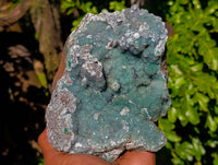 Natural Ball Malachite On Dolomite Matrix Specimen x 1 From Kambove, Congo