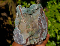 Natural Ball Malachite On Dolomite Matrix Specimen x 1 From Kambove, Congo