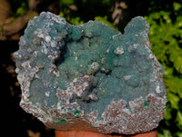 Natural Ball Malachite On Dolomite Matrix Specimen x 1 From Kambove, Congo