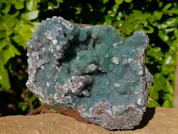 Natural Ball Malachite On Dolomite Matrix Specimen x 1 From Kambove, Congo