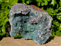 Natural Ball Malachite On Dolomite Matrix Specimen x 1 From Kambove, Congo