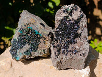 Natural Libethenite Crystals On Dolomite Matrix Specimens x 2 From Shituru, Congo