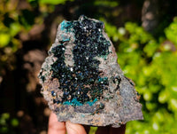 Natural Libethenite Crystals On Dolomite Matrix Specimens x 2 From Shituru, Congo