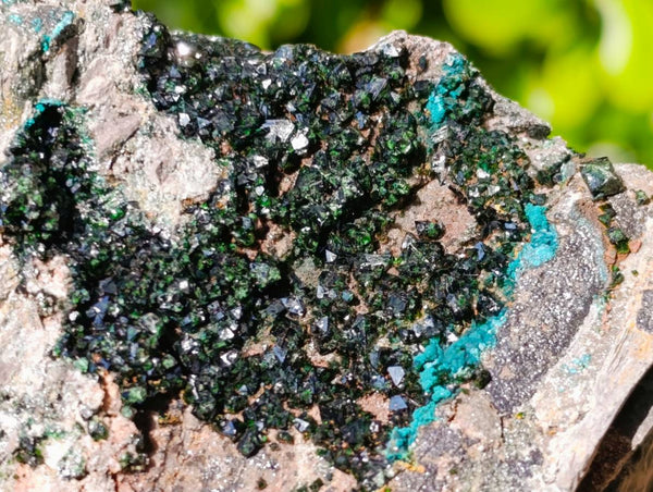 Natural Libethenite Crystals On Dolomite Matrix Specimens x 2 From Shituru, Congo