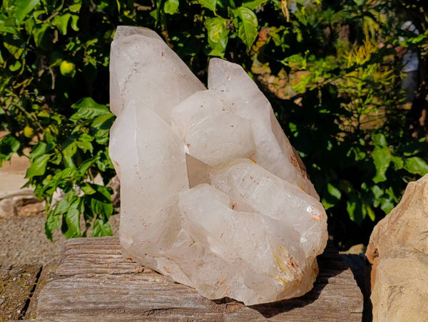 Polished Quartz Cluster x 1 From Angola