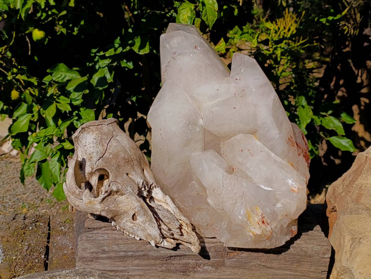 Polished Quartz Cluster x 1 From Angola - Toprock Gemstones and Minerals 