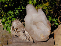 Polished Quartz Cluster x 1 From Angola