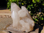 Polished Quartz Cluster x 1 From Angola - Toprock Gemstones and Minerals 