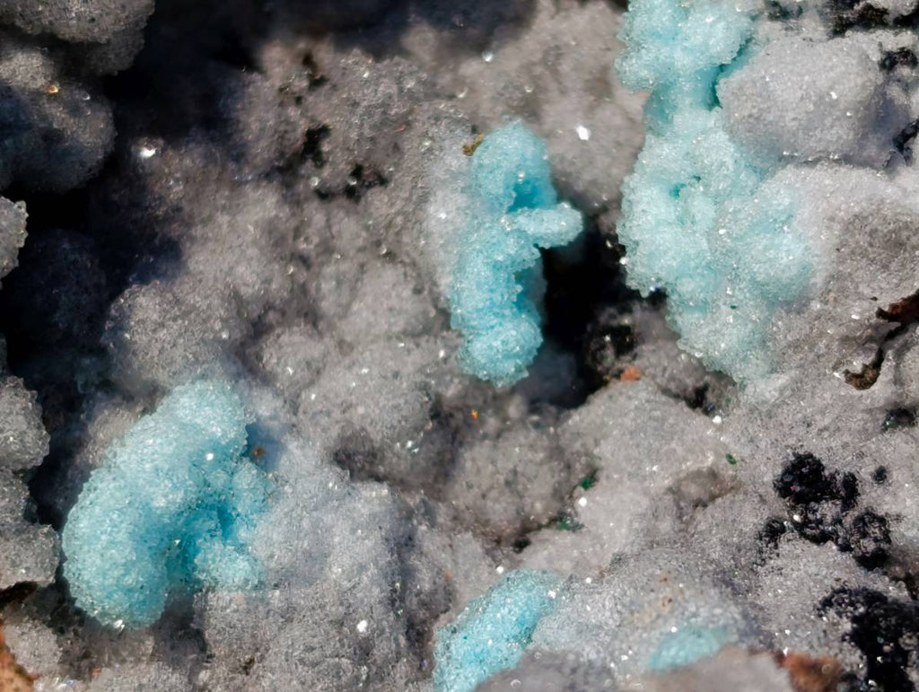 Natural Drusy Coated Chrysocolla with Malachite Specimen x 1 From Congo - Toprock Gemstones and Minerals 