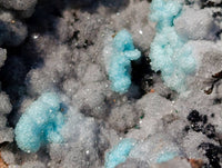 Natural Drusy Coated Chrysocolla with Malachite Specimen x 1 From Congo