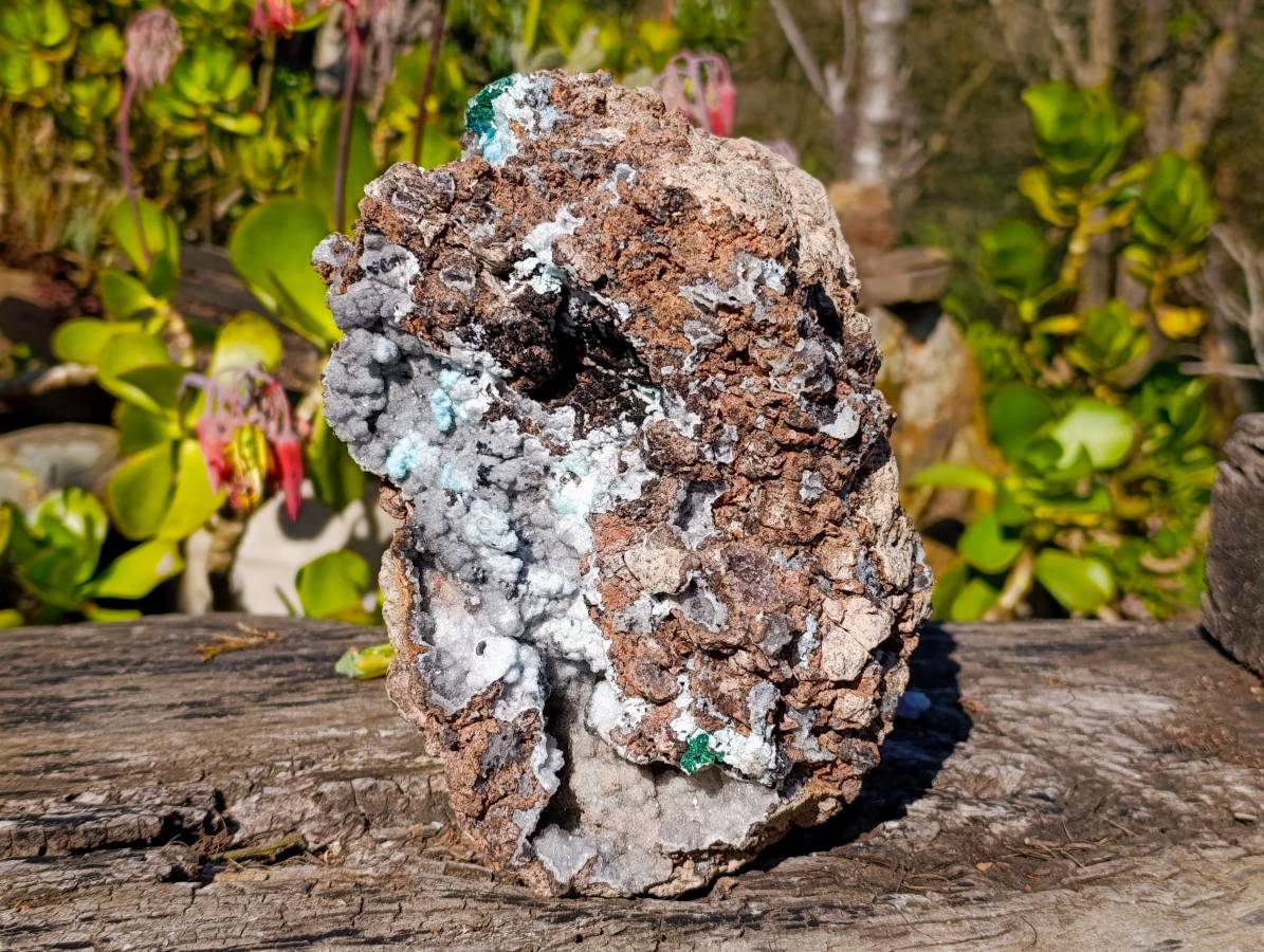 Natural Drusy Coated Chrysocolla with Malachite Specimen x 1 From Congo - Toprock Gemstones and Minerals 