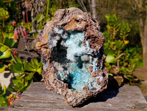Natural Drusy Coated Chrysocolla with Malachite Specimen x 1 From Congo
