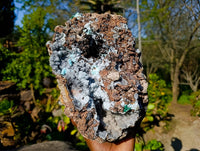 Natural Drusy Coated Chrysocolla with Malachite Specimen x 1 From Congo